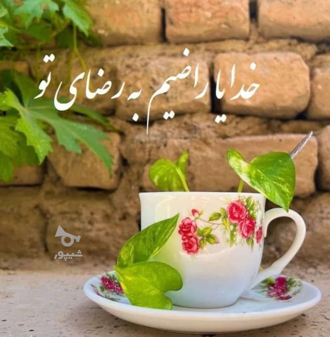 ماسور وخدمات ماساژ انجام داده میشود