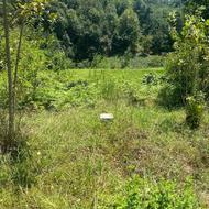 زمین مسکونی 320 متر در زمیدان