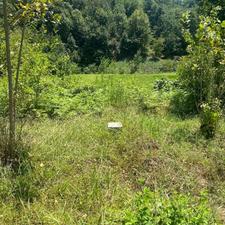 زمین مسکونی 320 متر در زمیدان