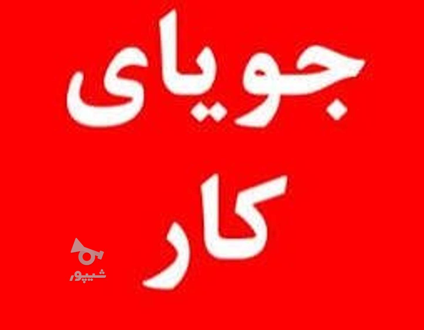خانم جویای کار(کارمند اداری یا حسابدار تازه کار) - مرادی