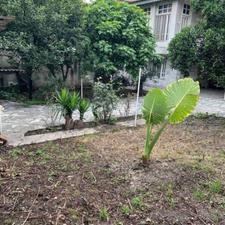 فروش خانه و یلایی 375 متر در امام رضا نزدیک خیابا اصلی