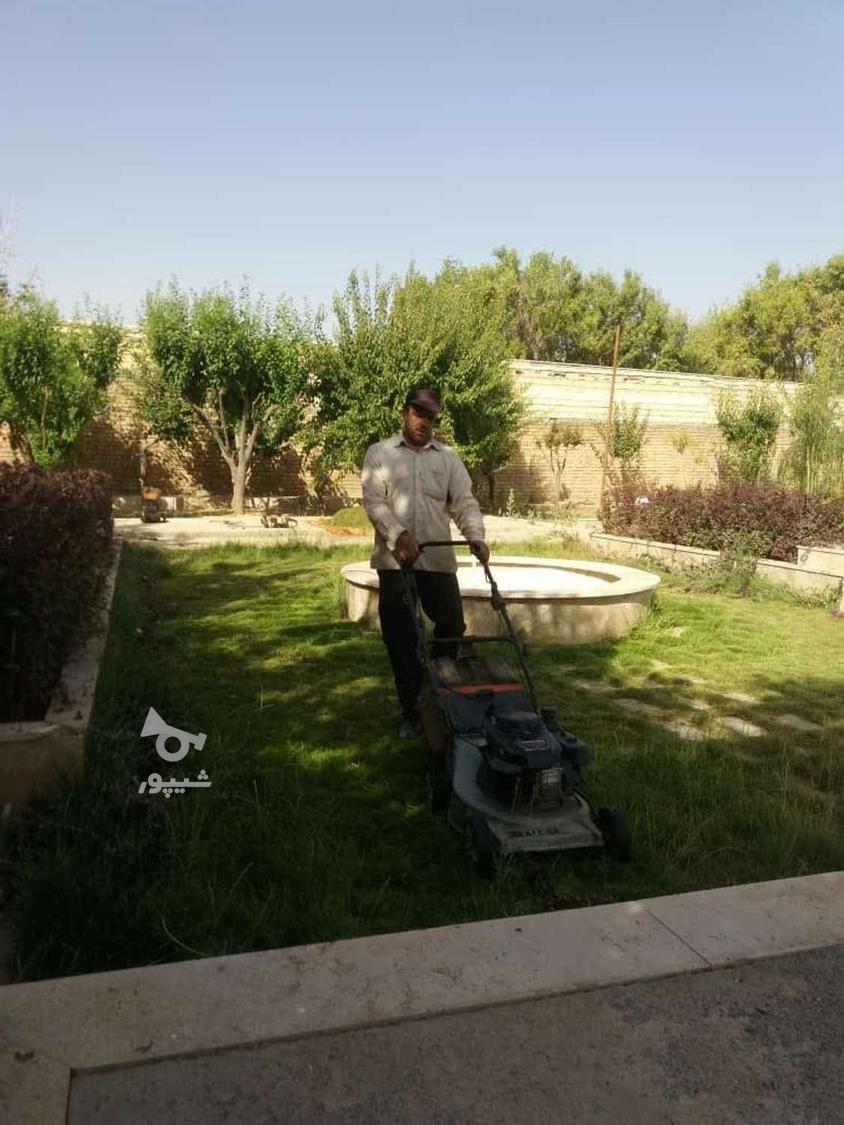 خدمات باغبانی با دستگاه های پیشرفته