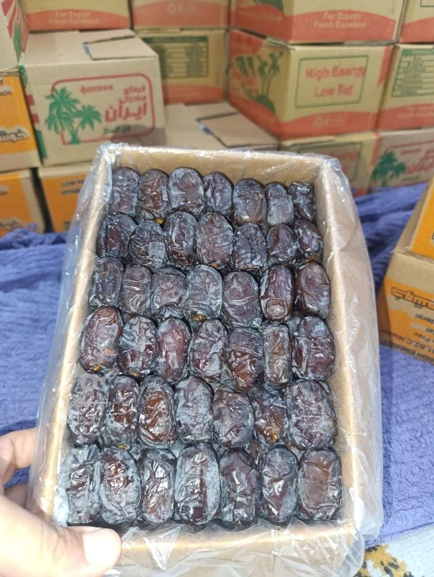 ارسال خرما به سراسر کشور