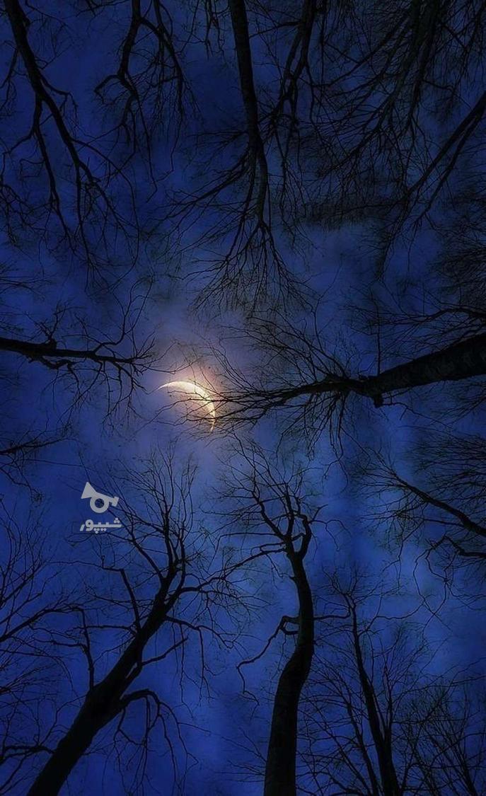 جویای کار هستم پیام دهید - undefined