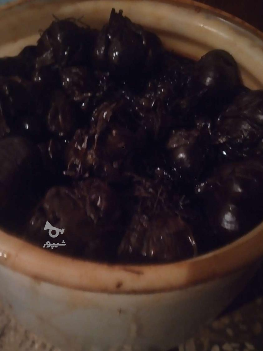 سیر10ساله‌طبیعی