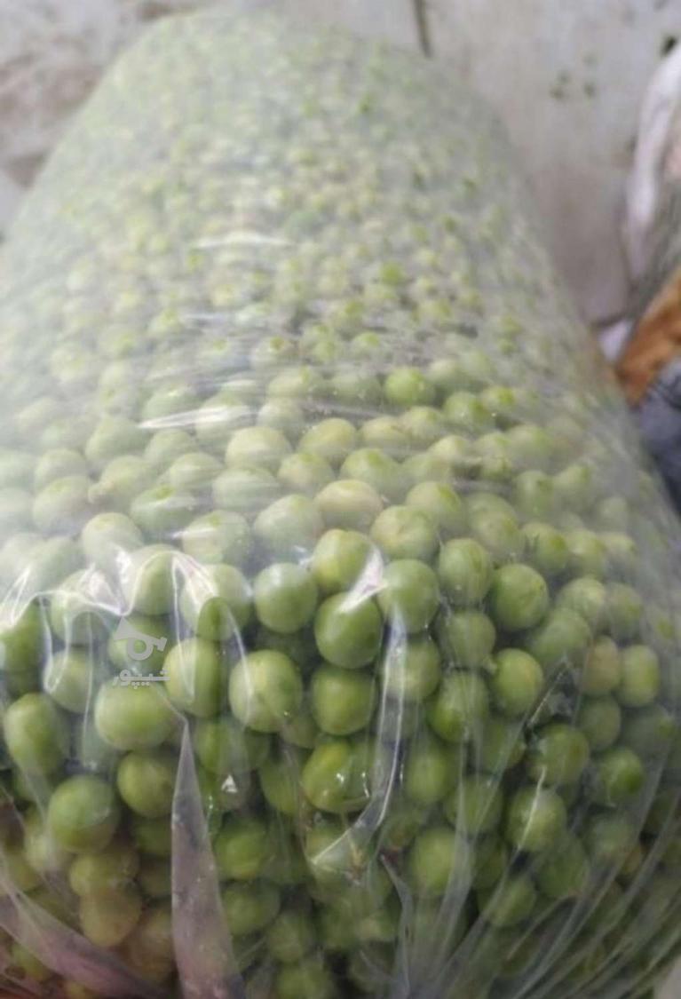 پخش عمده و خورده باقالی ذرت نخود ارسال رایگان