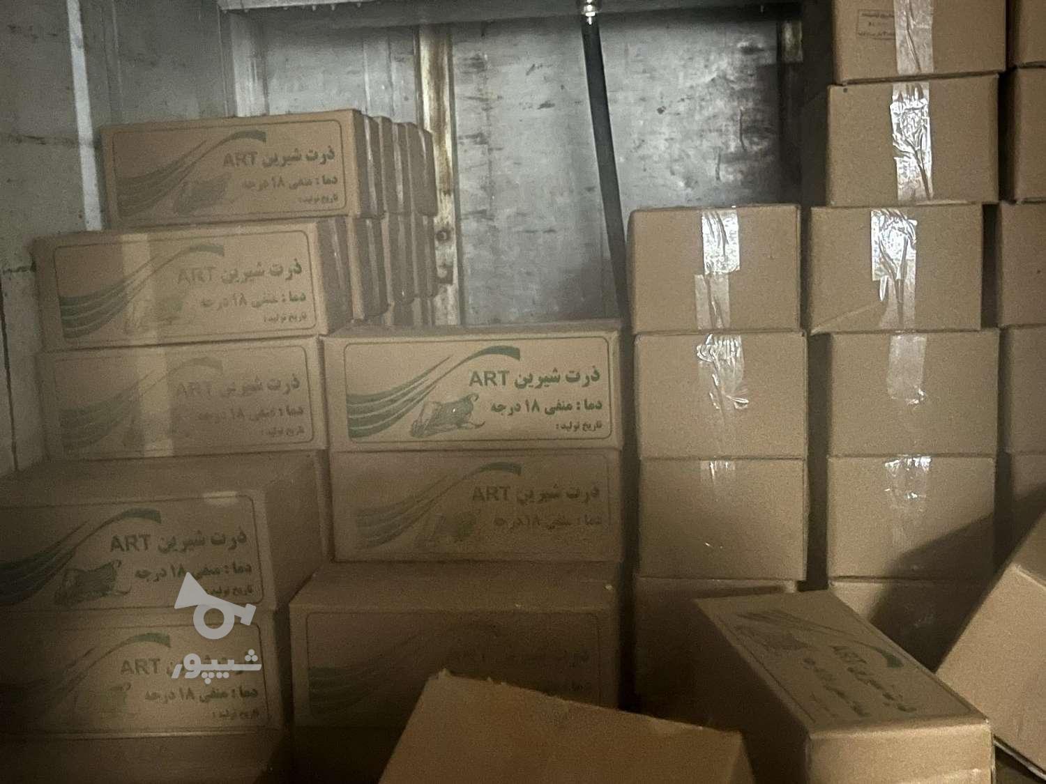 پخش عمده و خورده باقالی ذرت نخود ارسال رایگان