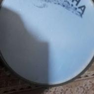 طبل درحد نو سالم سالم