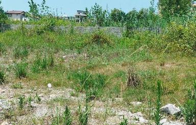 فروش زمین مسکونی 240 متر در ملکار