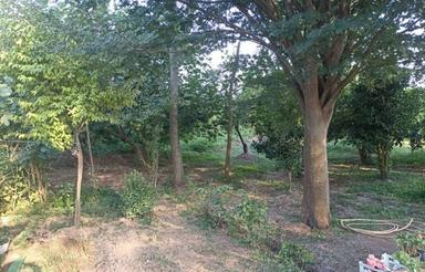 فروش ویلا 36000 متر در مرکز شهر