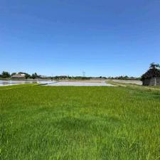 فروش زمین مسکونی و مزروعی گیلان کوچصفهان 1400متر