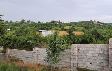 فروش 1550 متر زمین در قادیکلا