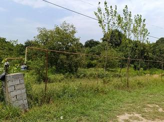 فروش 1500 متر زمین - بابلکنار روستای هلی خال