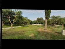 فروش زمین مسکونی 250 متر در استخرسر در شیپور