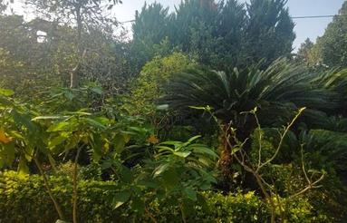 فروش ویلا 1600 متری در رامسر