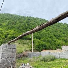 فروش زمین مسکونی 200 متر در واز تنگه