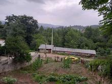 فروش زمین مسکونی 773 متر در حومه ساری در شیپور