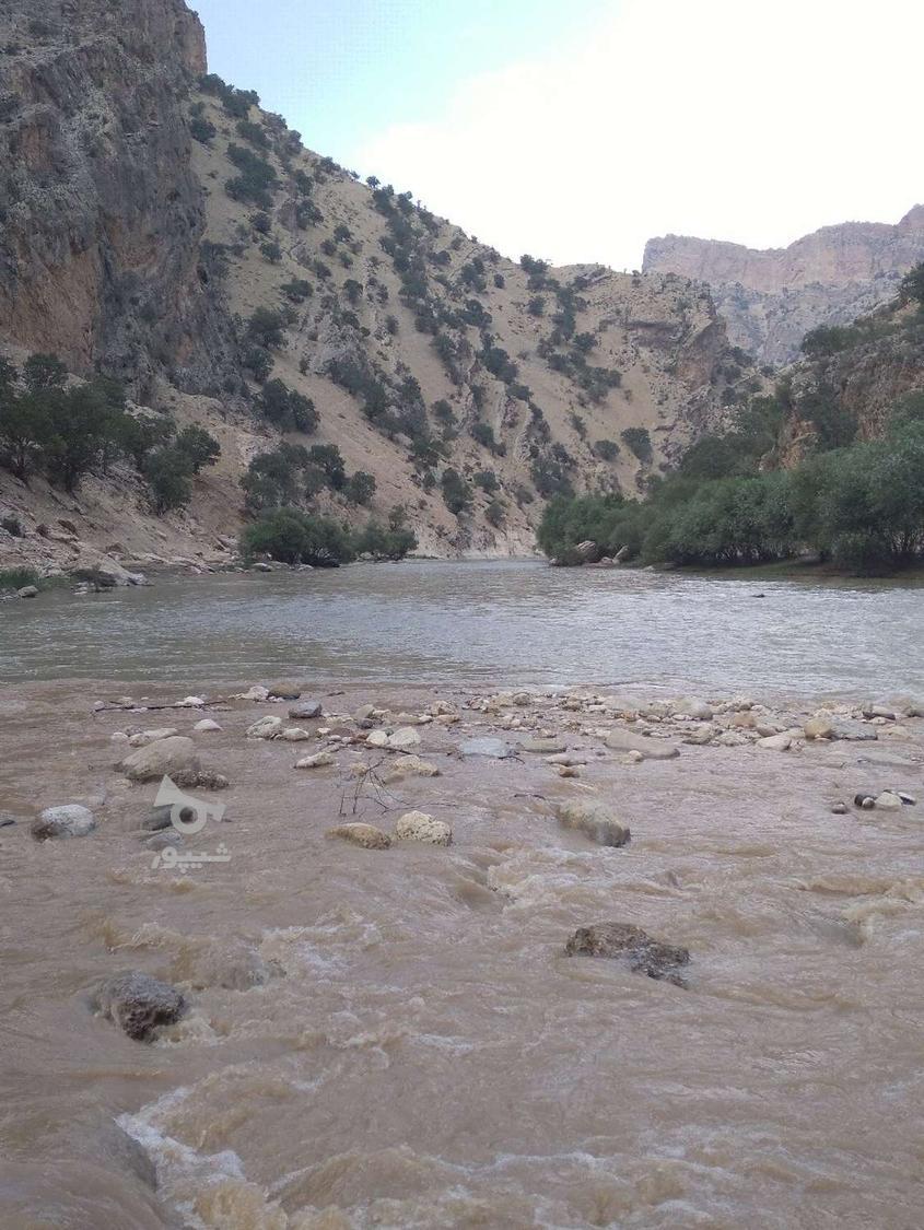 آشپزی وخانه داری - undefined