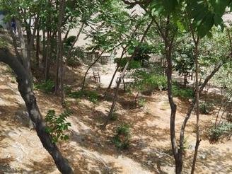 فروش زمین مسکونی 1000 متر در نیاوران