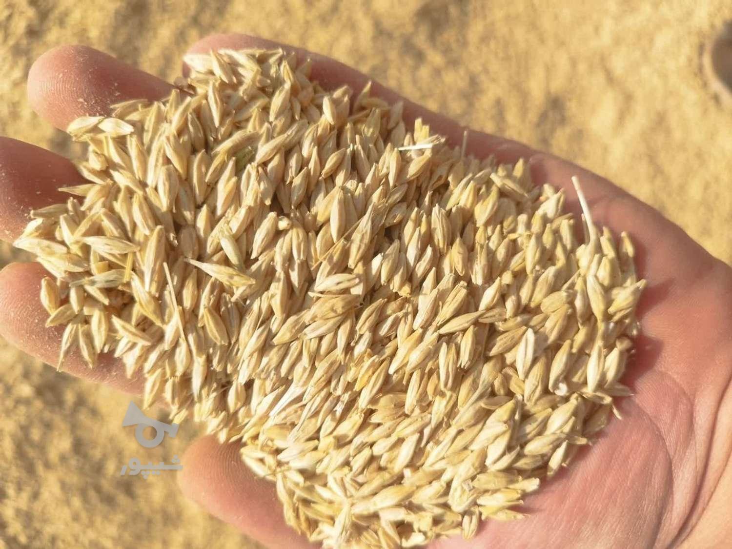 جو محلی وخارجی