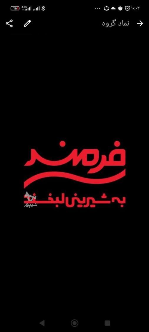 جذب فروشنده در شرکت صنایع غذایی فرمند - محمد