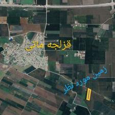 فروش نیم هکتار زمین قزلجه ماتی