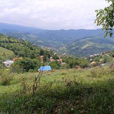 فروش زمین مسکونی 260 متر در دودانگه