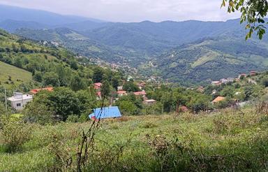 فروش زمین مسکونی 260 متر در دودانگه