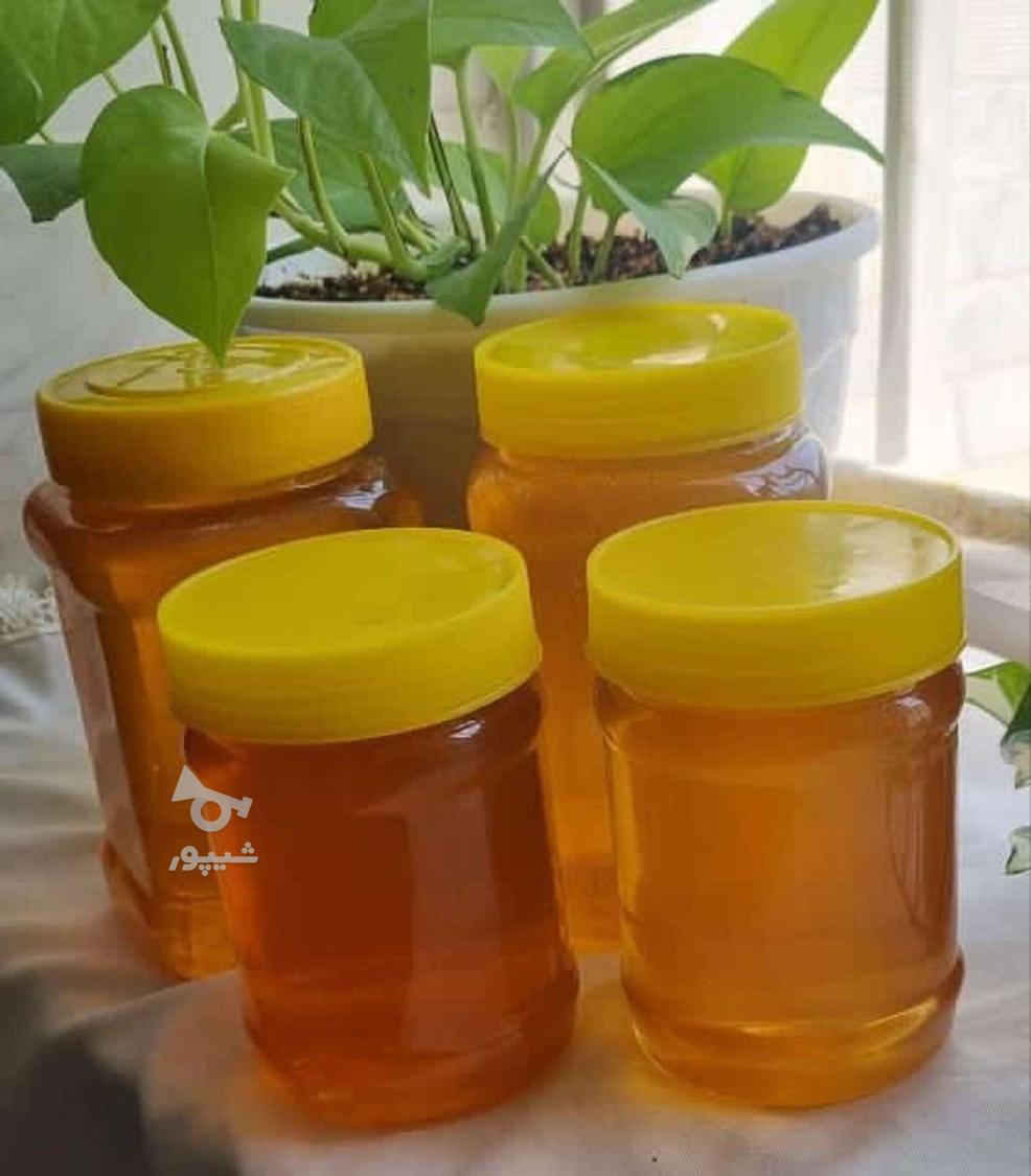 زنبورستان رحیمی.ارسال به کل کشور.عسل طبیعی درجه یک کوهستان .