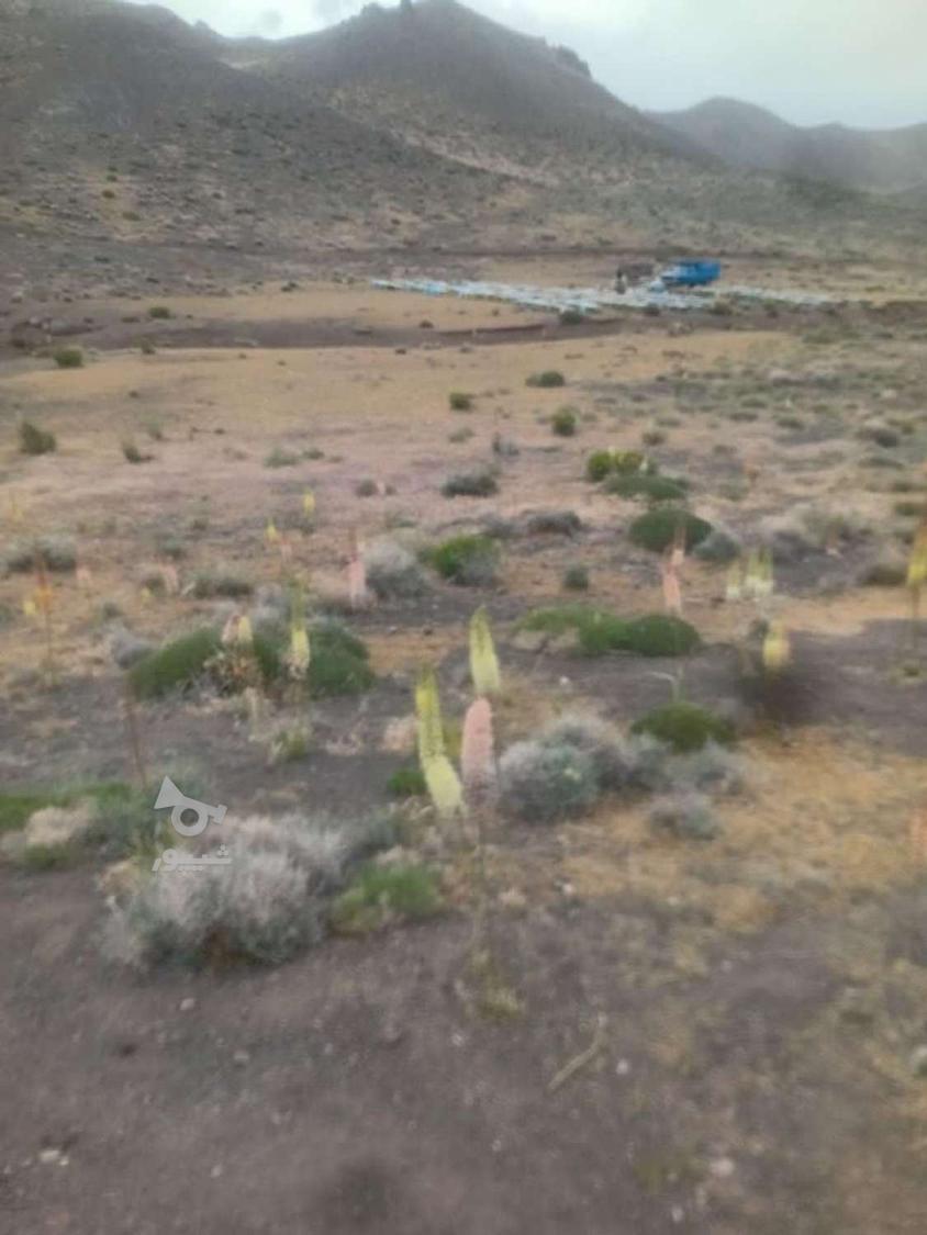 زنبورستان رحیمی.ارسال به کل کشور.عسل طبیعی درجه یک کوهستان .