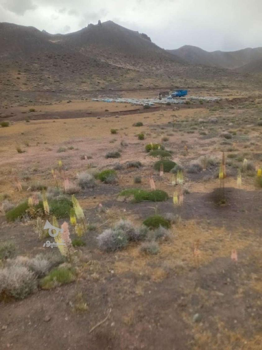 زنبورستان رحیمی.ارسال به کل کشور.عسل طبیعی درجه یک کوهستان .