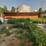 نیازمند کارگر ساده جویای کار گل فروشی