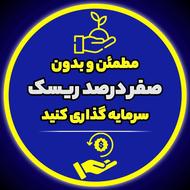 مطمئن وبدون صفردرصدریسک سرمایه گزاری کنید