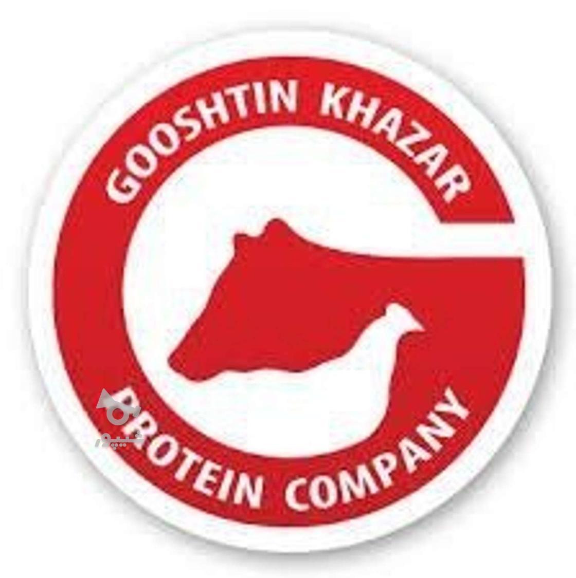 آگهی جذب نیروی ویزیتور فوری - رضا عزتی