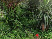 اجاره ویلایی 470 متر در خ هراز زوج بین آفتاب 42 تا 46 در شیپور