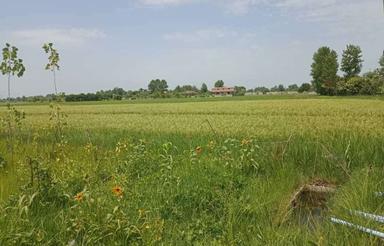 فروش ویلا 263 متر در رودپشت