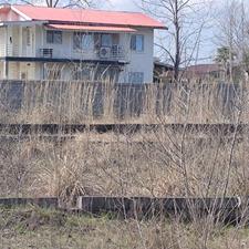 فروش زمین مسکونی 239 متر در ساحلی