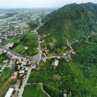 باغ چای2000متری در جاده لیلاکوه لنگرود