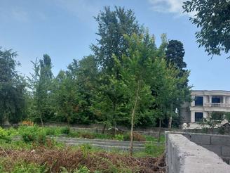 فروش زمین مسکونی 300 متری در بلوار معلم