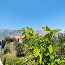 فروش ویلا باغ 1000 متری ییلاق نمارستاق
