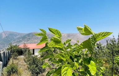 فروش ویلا باغ 1000 متری ییلاق نمارستاق