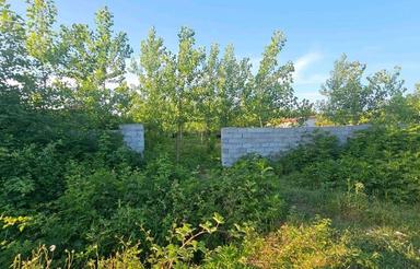 1300 متر زمین مسکونی روستایی با سند قطعی در رشت چولاب