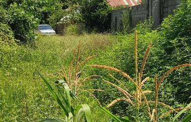 زمین مسکونی 500 متری