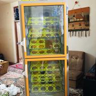 دستگاه جوجه کشی شتر مرغ