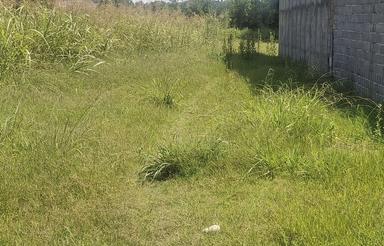 فروش زمین مسکونی 350 متر در هولا - ذغالچال