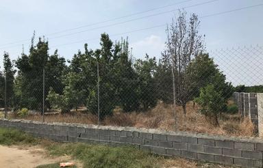 فروش باغ 1500 متری در درکاسر