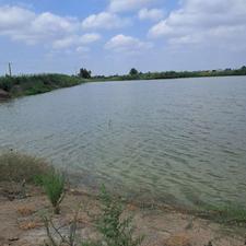 فروش زمین کشاورزی 280000 متر در لاریم