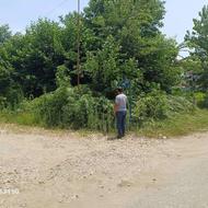 فروش زمین مسکونی 340 متر در کلیمان