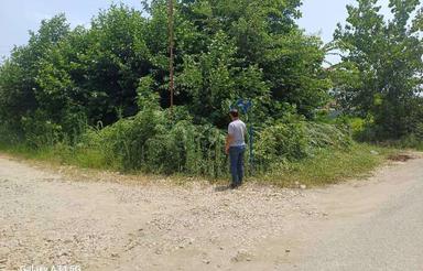 فروش زمین مسکونی 340 متر در کلیمان