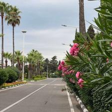 فروش آپارتمان 110 نوساز متر در شهرک دریاکنار اقساط 10 ماهه